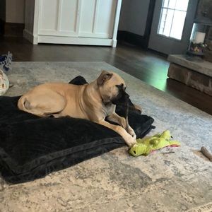 Meet your Posher, Gavin